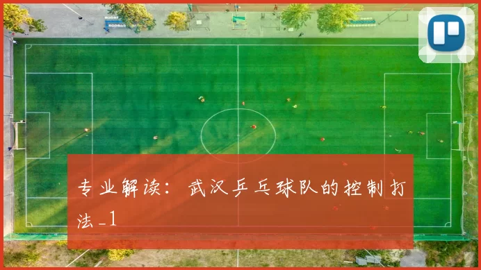 专业解读：武汉乒乓球队的控制打法_1