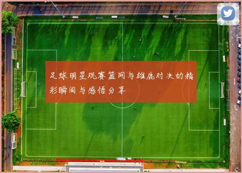 足球明星观赛篮网与雄鹿对决的精彩瞬间与感悟分享