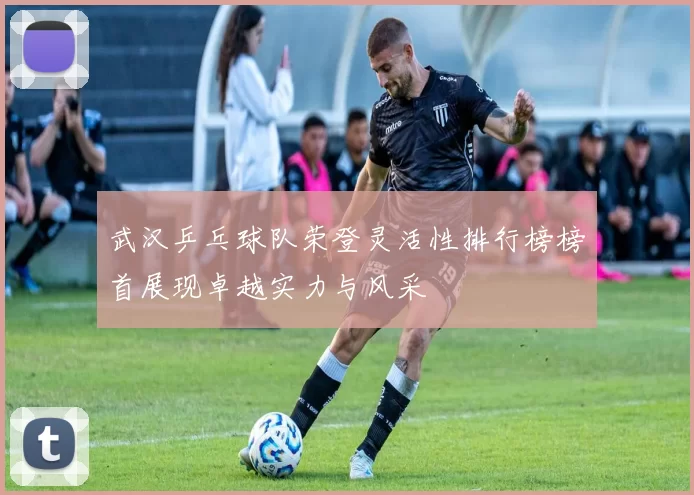 武汉乒乓球队荣登灵活性排行榜榜首展现卓越实力与风采