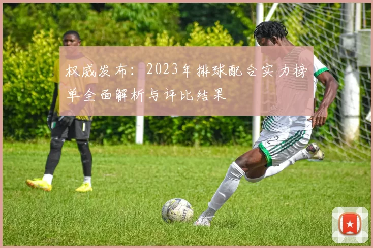 权威发布：2023年排球配合实力榜单全面解析与评比结果
