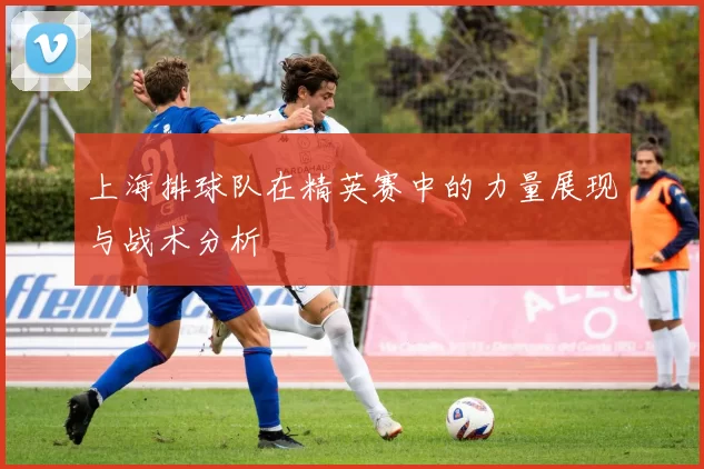 上海排球队在精英赛中的力量展现与战术分析