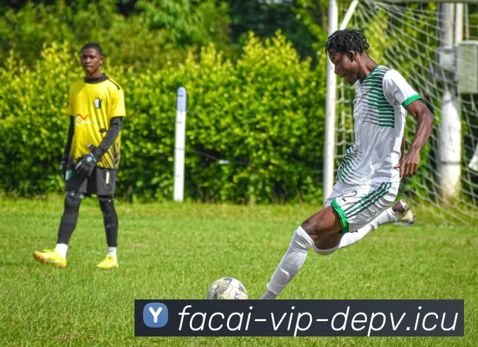 华体会体育平台生态图